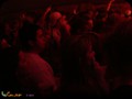 _mg_0197