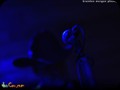 _dsc0896